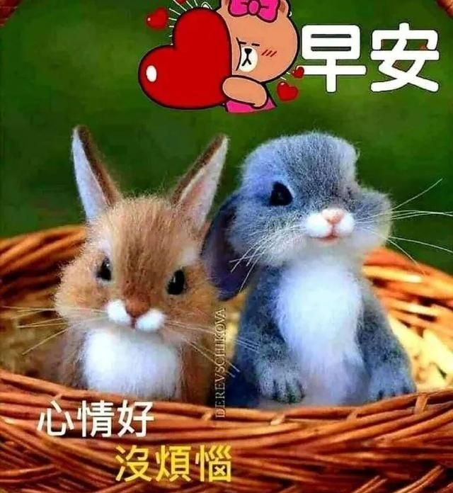 2021年早安健康图片,珍惜友情早安带字图片 请注意保暖,以良好的心态,健康的身体,告别2020,迎接2021!
