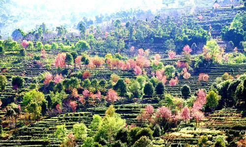 临沧市人口_临沧城市规划馆招聘公告