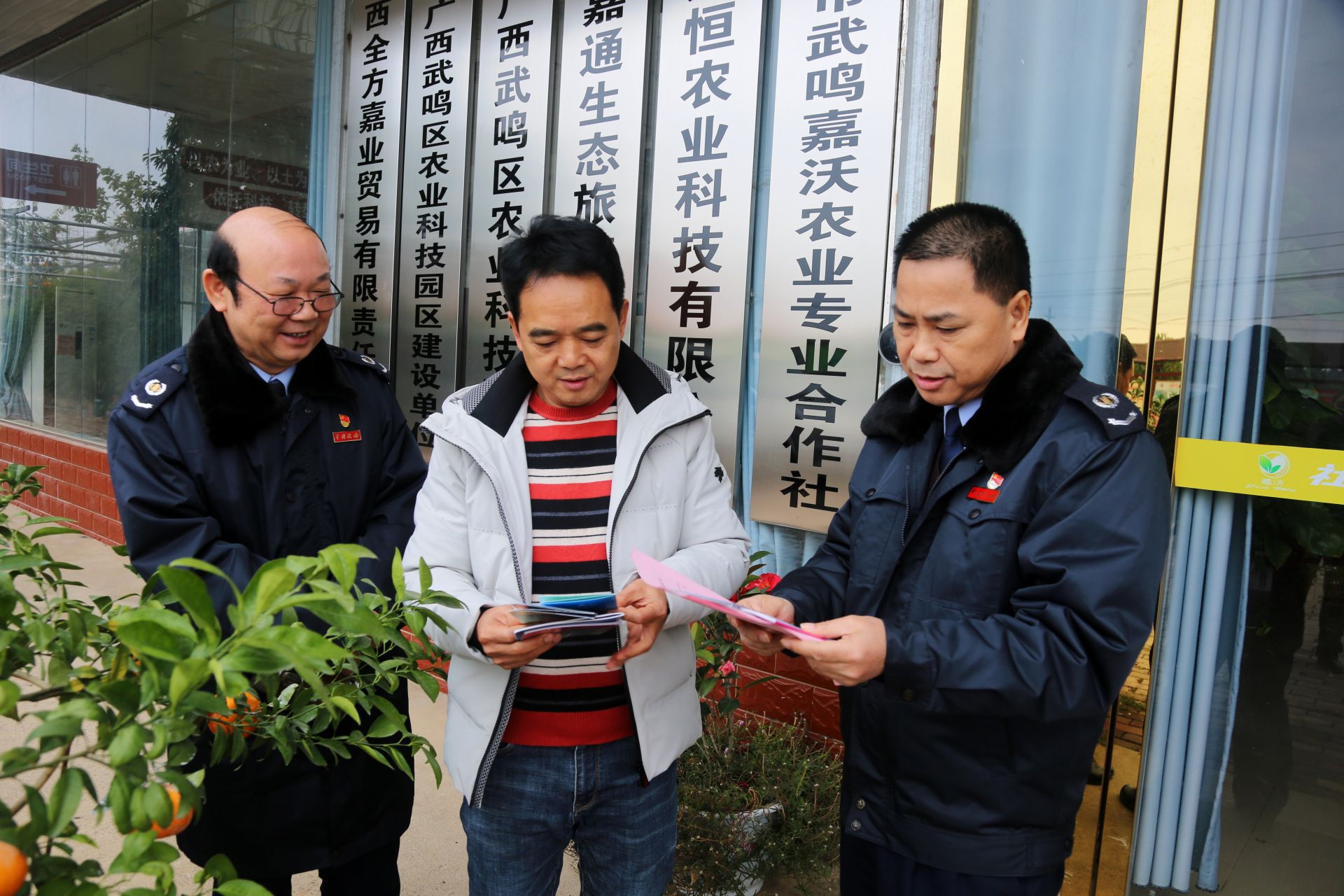 正文 广西起凤橘洲生态农业有限公司是武鸣沃柑产业的龙头企业,有着