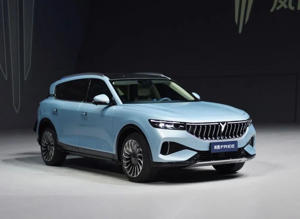 2020诞生了这些新品牌，几乎全为新能源汽车！