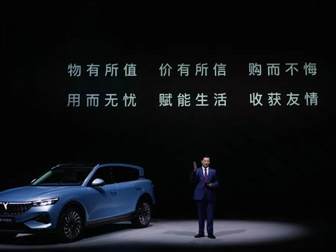 需要拳开的特斯拉，尴尬的电动车，今年冬天格外冷