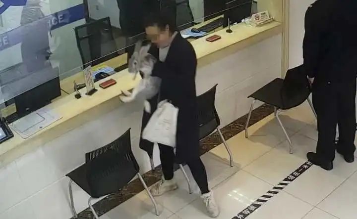 闯进家里的“不速之客”吓坏男子!警察进门一看:啊...这休闲区蓝鸢梦想 - Www.slyday.coM 闯进家里的“不速之客”吓坏男子!警察进门一看:啊...这休闲区蓝鸢梦想 - Www.slyday.coM