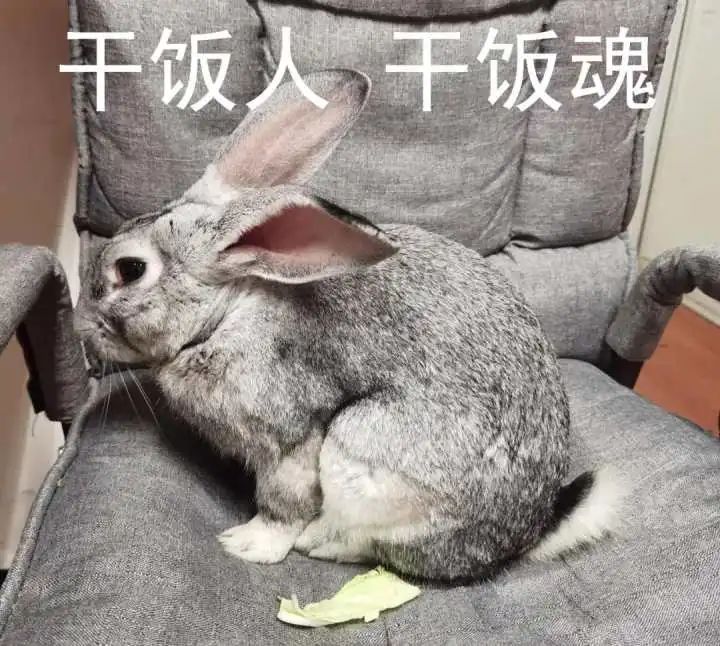 闯进家里的“不速之客”吓坏男子!警察进门一看:啊...这休闲区蓝鸢梦想 - Www.slyday.coM 闯进家里的“不速之客”吓坏男子!警察进门一看:啊...这休闲区蓝鸢梦想 - Www.slyday.coM