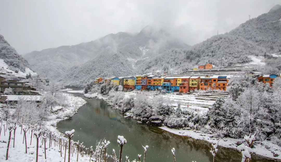 城口。雪景 城口。文旅委供图