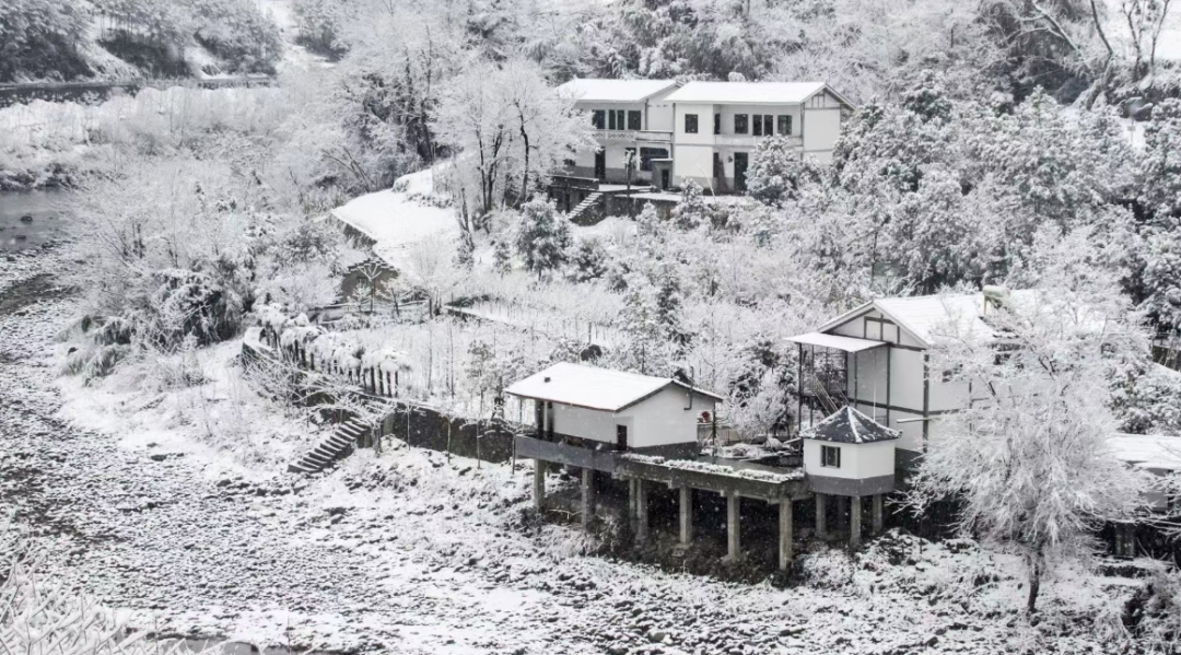 城口。雪景 城口。文旅委供图