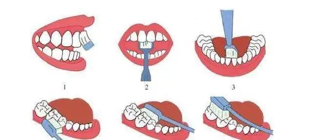 这件东西,1299元的和99块的,好像真的没差....休闲区蓝鸢梦想 - Www.slyday.coM 这件东西,1299元的和99块的,好像真的没差....休闲区蓝鸢梦想 - Www.slyday.coM