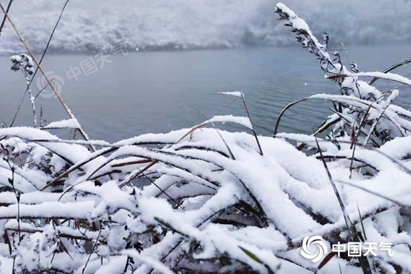 昨天,贵州多地今冬第一场雪悄然而至。(图/滕胜云)