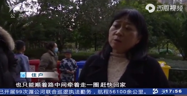 你好毒!毒死20多只宠物狗,嫌疑人被昆明警方刑拘,为同一小区住户休闲区蓝鸢梦想 - Www.slyday.coM 你好毒!毒死20多只宠物狗,嫌疑人被昆明警方刑拘,为同一小区住户休闲区蓝鸢梦想 - Www.slyday.coM