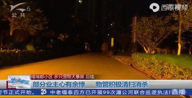 你好毒!毒死20多只宠物狗,嫌疑人被昆明警方刑拘,为同一小区住户休闲区蓝鸢梦想 - Www.slyday.coM 你好毒!毒死20多只宠物狗,嫌疑人被昆明警方刑拘,为同一小区住户休闲区蓝鸢梦想 - Www.slyday.coM