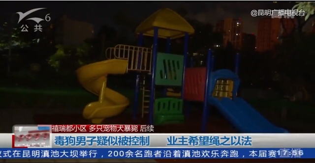 你好毒!毒死20多只宠物狗,嫌疑人被昆明警方刑拘,为同一小区住户休闲区蓝鸢梦想 - Www.slyday.coM 你好毒!毒死20多只宠物狗,嫌疑人被昆明警方刑拘,为同一小区住户休闲区蓝鸢梦想 - Www.slyday.coM