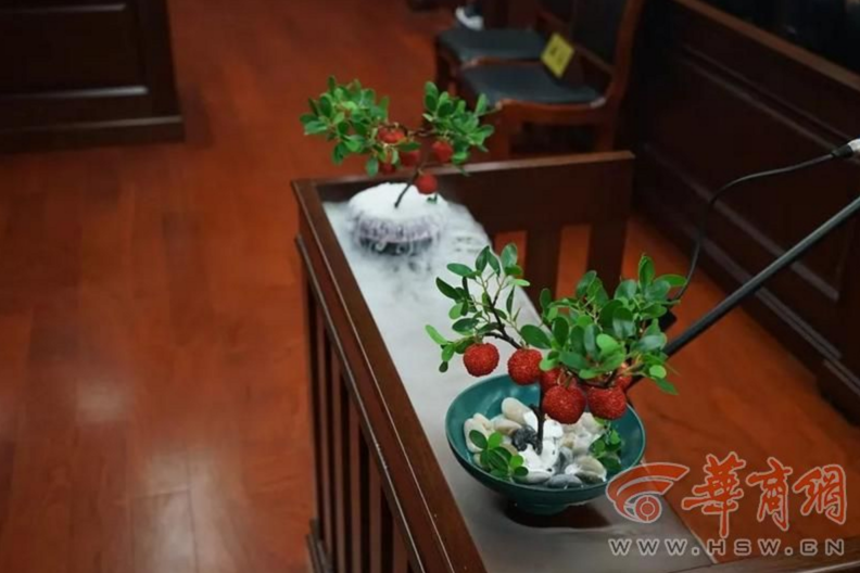 陕西两网红餐厅为“妃子笑”菜品著作权打官司