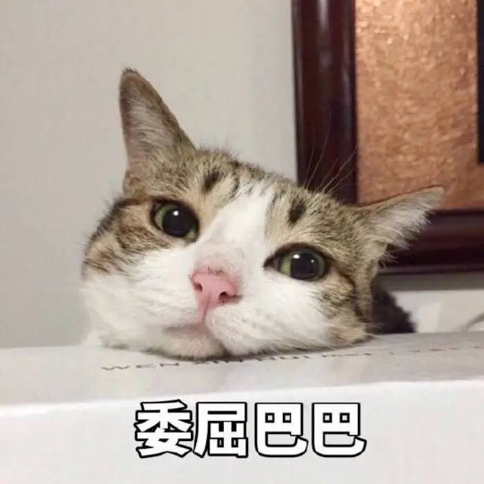 保洁员捡到一克拉钻戒上交被罚500元!公司:交