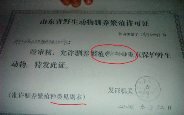 人工繁育野生动物之争：禁不禁、禁哪些、怎么禁