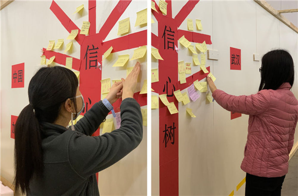 生命的方舟：彼岸已达，望后会无期！