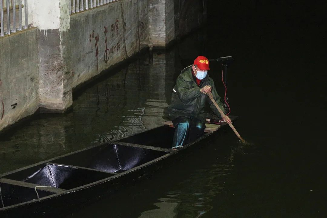 【围观】湘湖鱼市开张,捕上来的新鱼半小时秒光