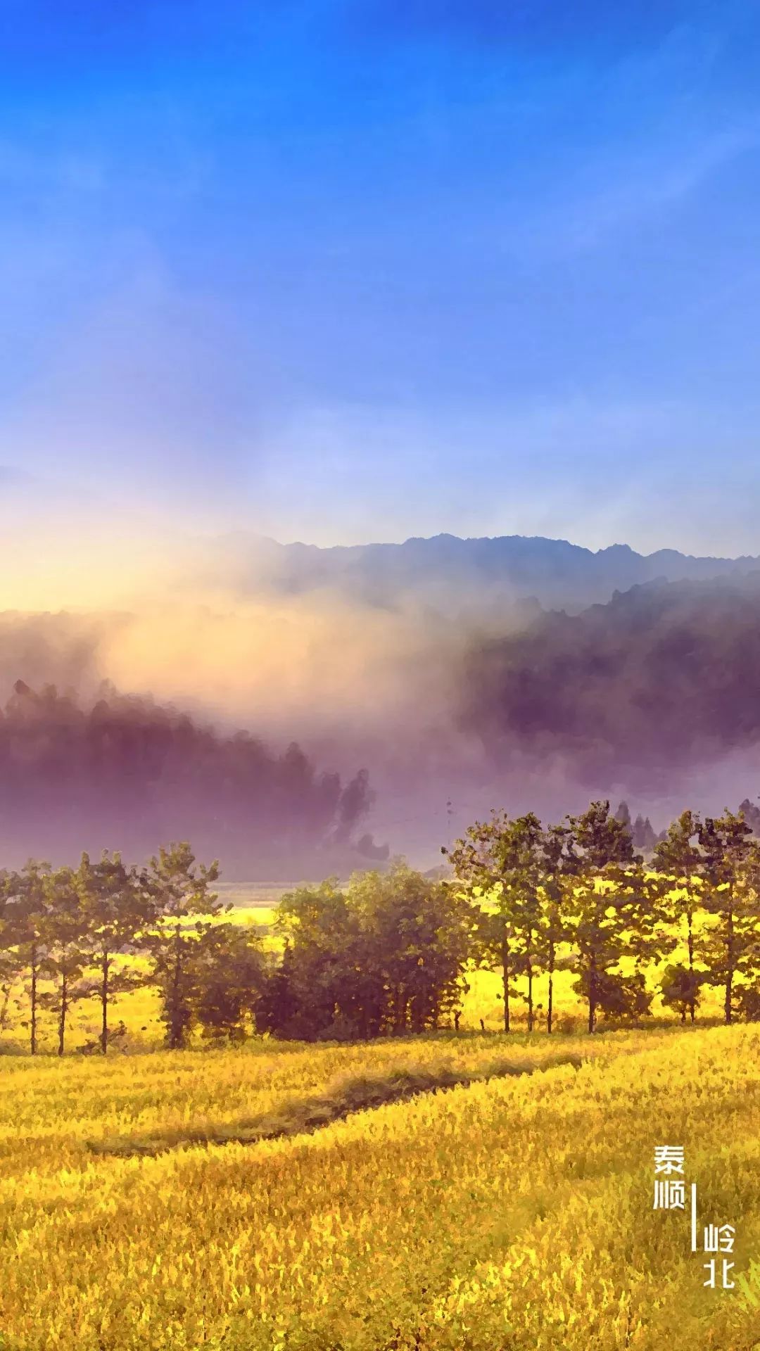 浙江最美风景!自成手机壁纸,一定有适合你的一款