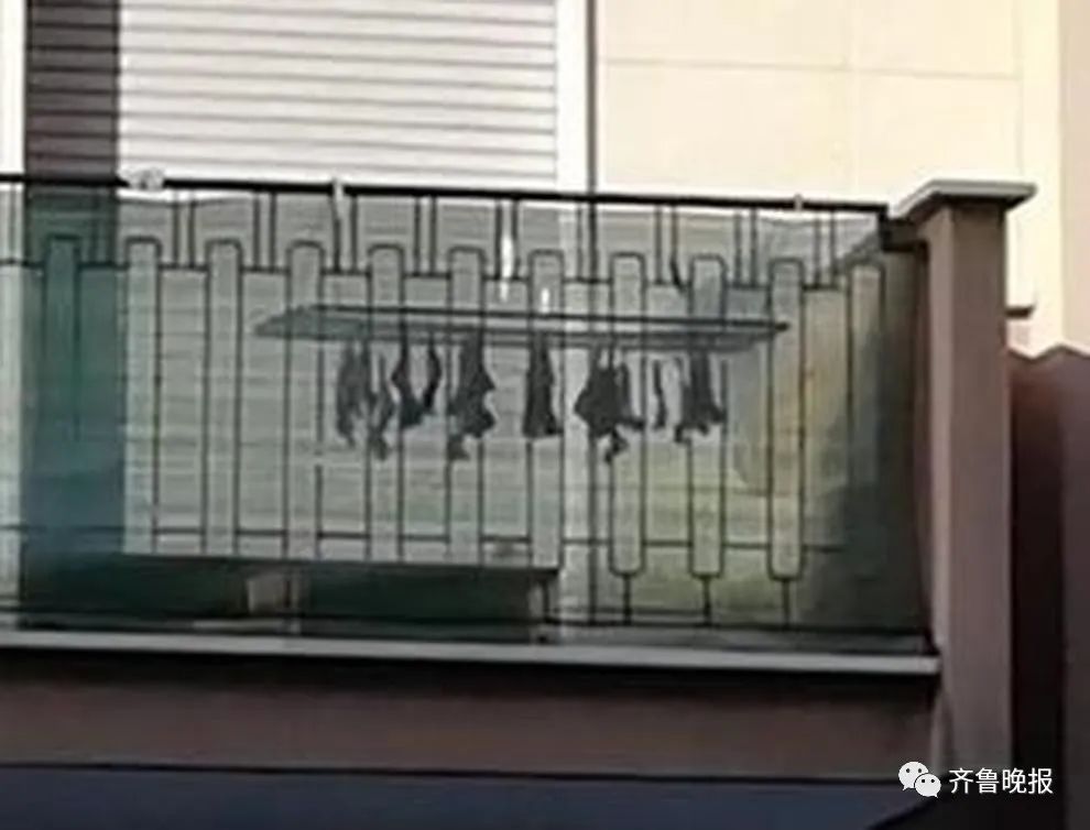 意大利华人在阳台晒腌制鸡翅 被人当成蝙蝠举报