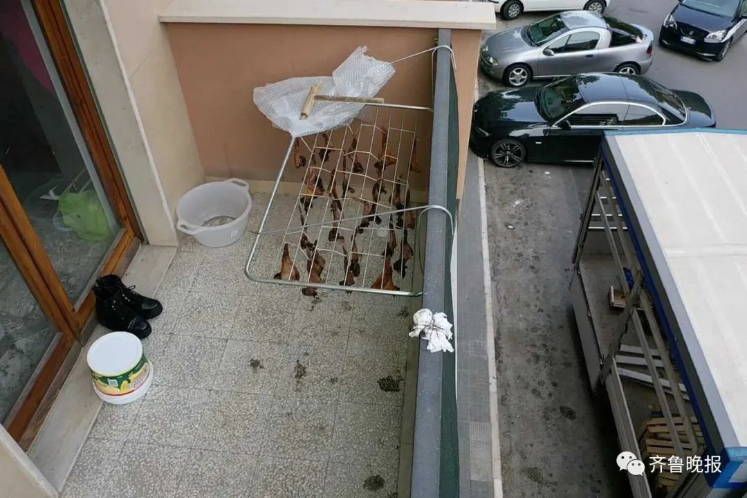 意大利华人在阳台晒腌制鸡翅 被人当成蝙蝠举报