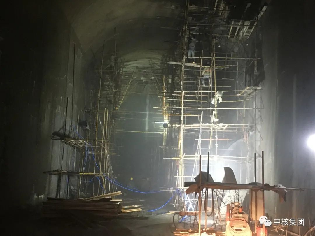 2021年莎车人口_美丽莎车图片(3)