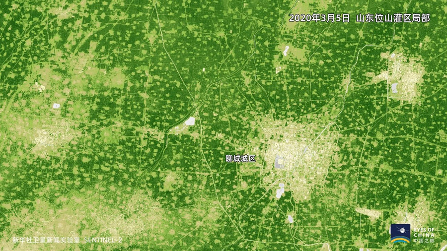 位山灌区，山东第一大灌区、黄河第二大灌区，灌溉面积500多万亩。