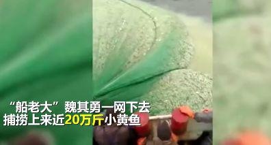 用垃圾车送肉,武汉紧急处理|新闻日志