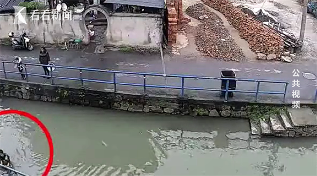 前衙村总人口_紫金县衙前村