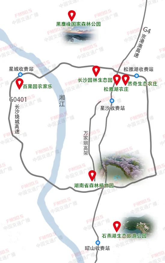 一份长沙采野菜地图送你!荠菜、香椿这些野菜,你都知道怎么吃吗?