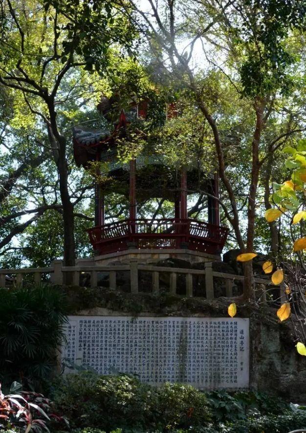绿荫满榕城,宋朝福州市长这样做