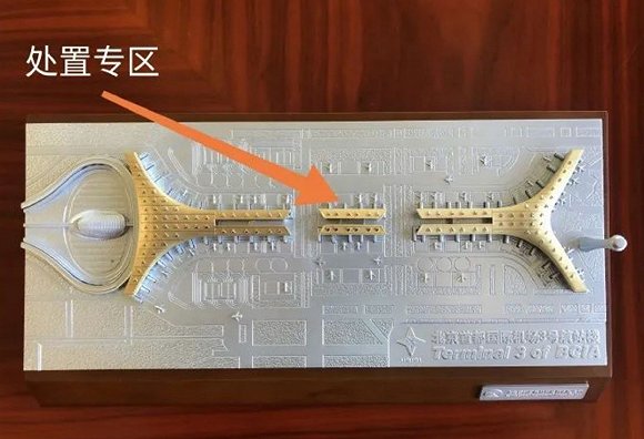 人口肺价格