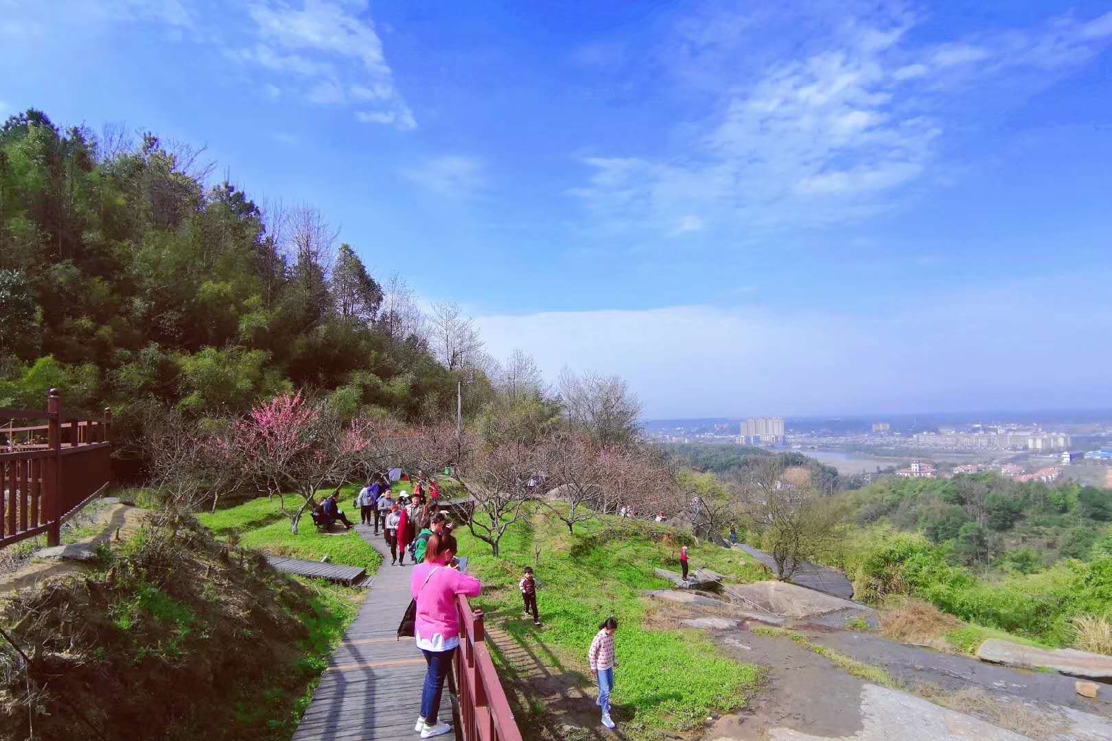 宁乡18家乡村旅游区(点)复工迎客,全市周末接待游客近