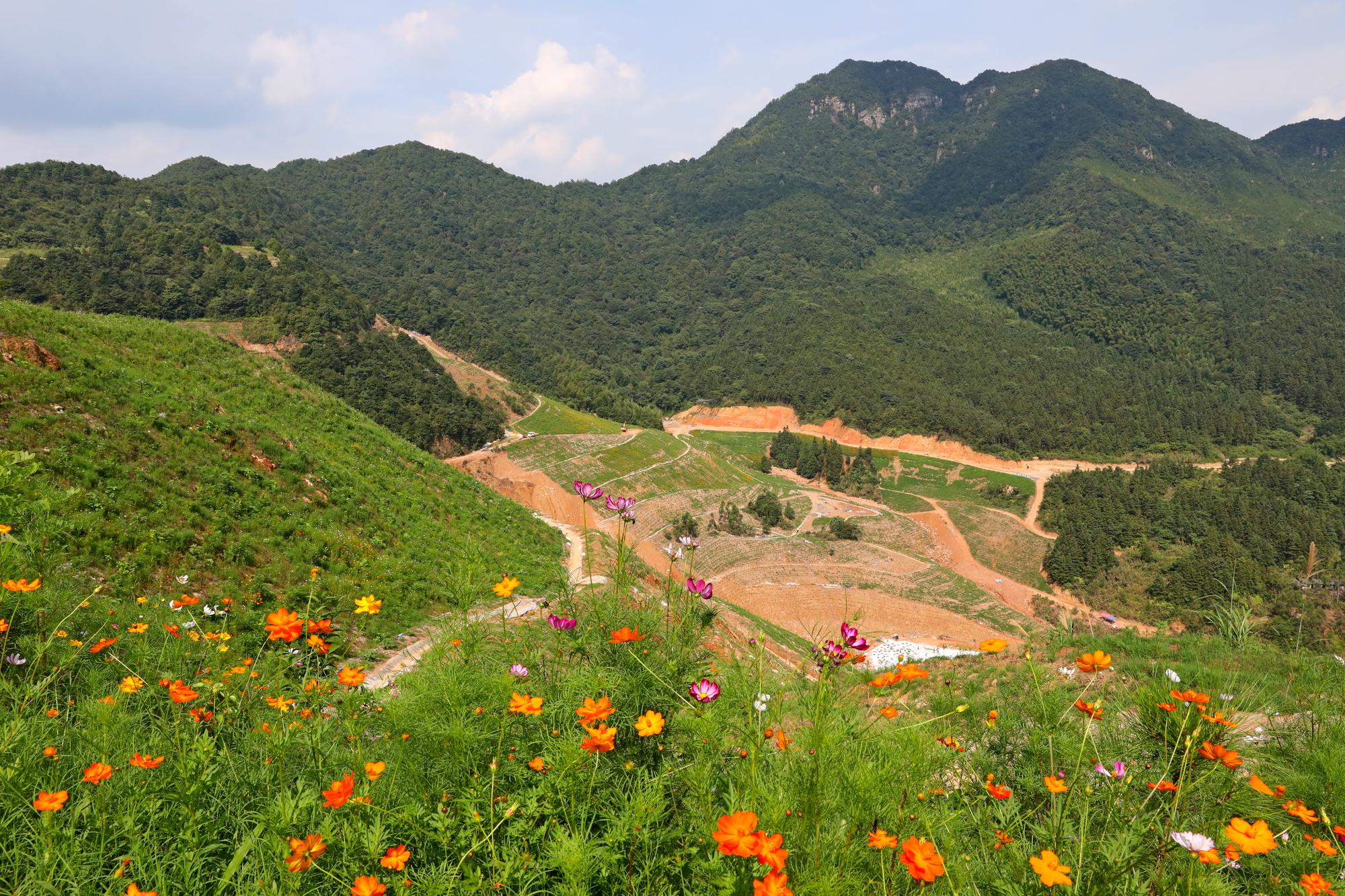 韶关大宝山矿复绿