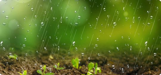 天气预报|春雨贵如油的一周,莫误农时莫急脱衣