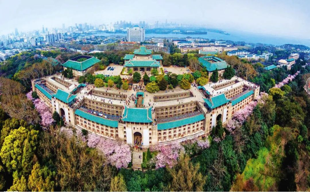 梦回武汉大学:珞珈山下的樱花开了,真想去看看