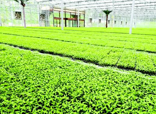 产业大招商提升贵州脱贫攻坚力度深度精度