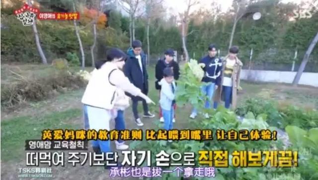 学校倡议学生就地下田:上 100 堂早教课不如带孩子亲近大自然