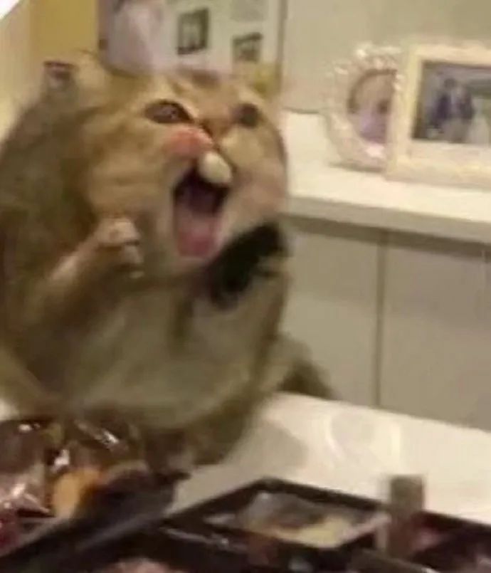 哈哈哈哈哈哈哈哈哈哈哈哈哈实名心疼