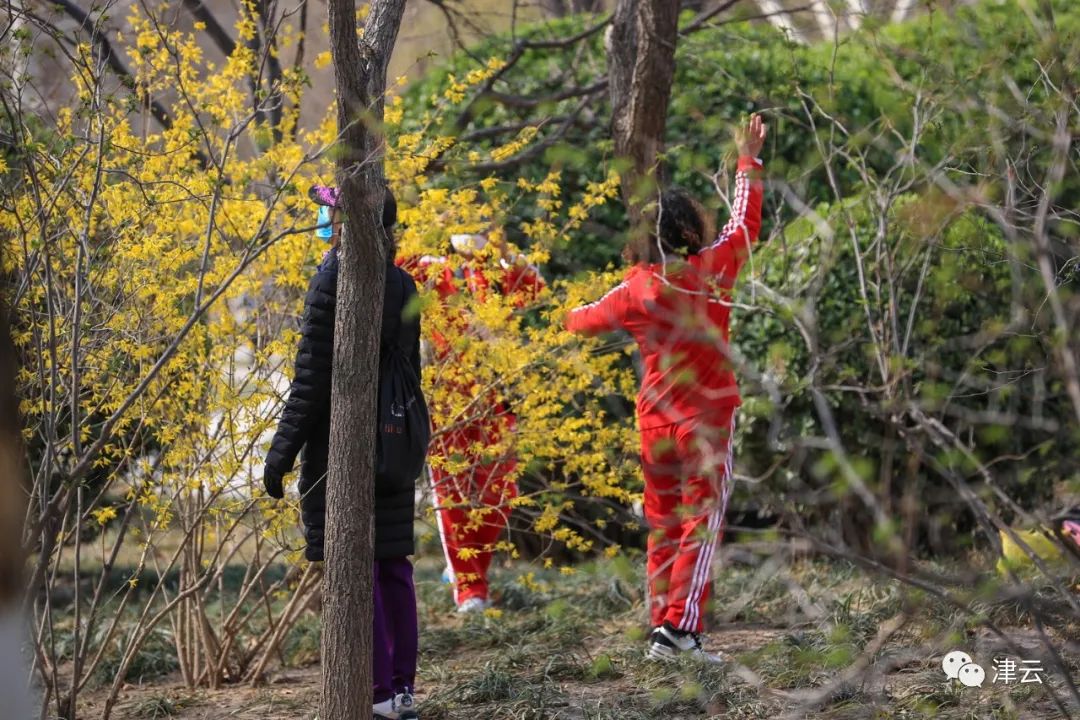 天津这个区12座公园,今天开始陆续恢复开放啦!