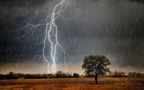 雷阵雨 有分散性暴雨 并伴有雷雨大风 短时强降水等强对流天气