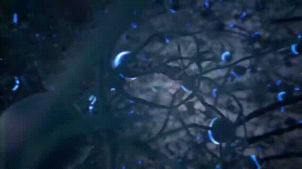 挑战马斯克Neuralink!斯坦福全新脑机接口,直连大脑和硅基芯片