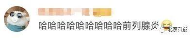 意大利又一市长狂怼市民:没完没了遛狗,狗有前列腺炎吗?