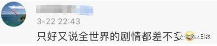 意大利又一市长狂怼市民:没完没了遛狗,狗有前列腺炎吗?