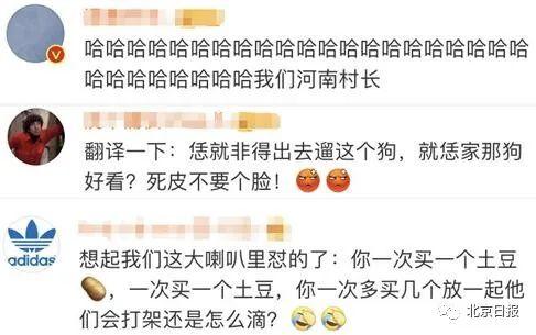 意大利又一市长狂怼市民:没完没了遛狗,狗有前列腺炎吗?
