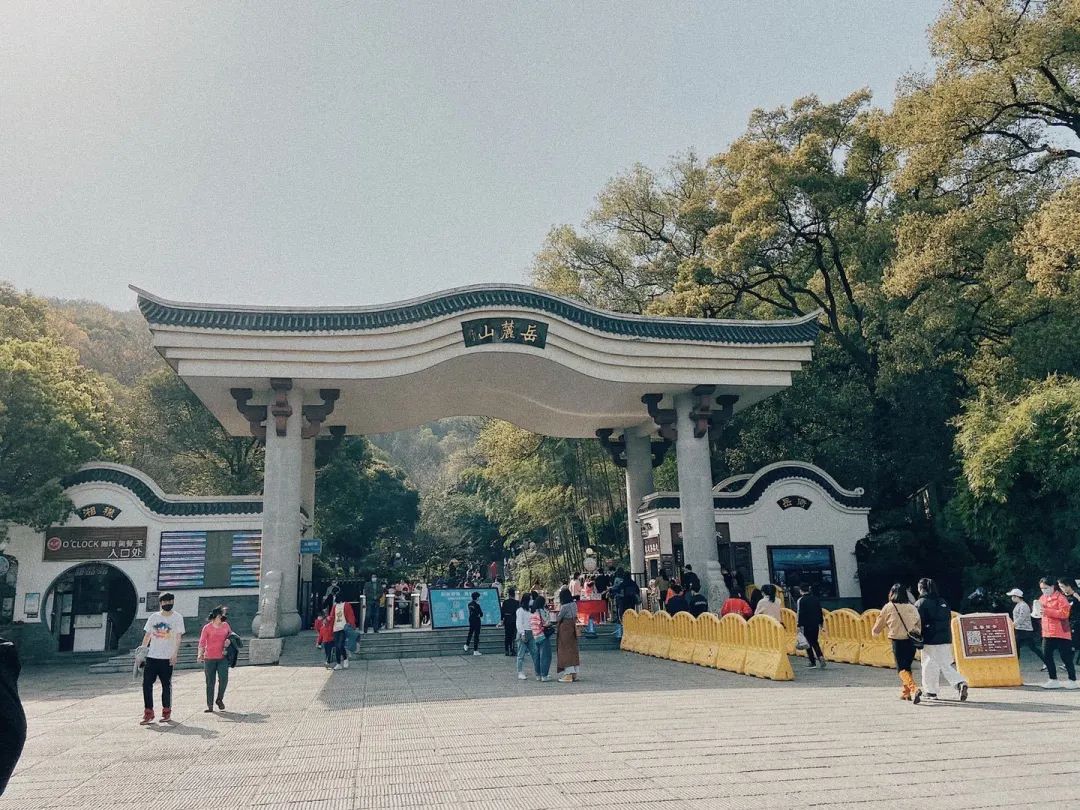 长沙人过春天去一趟岳麓山就够了