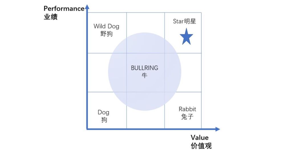 彭蕾:如果你在阿里工作,能到P几?