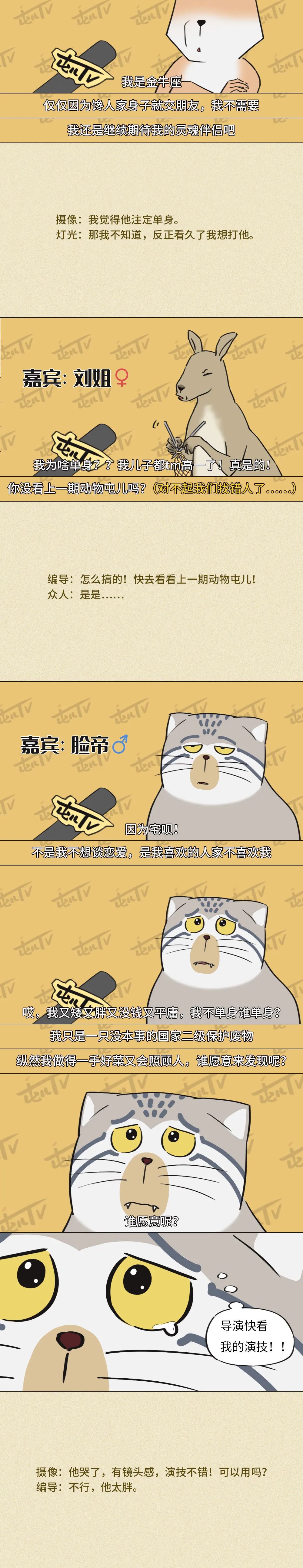 知道你为什么一直单身吗!