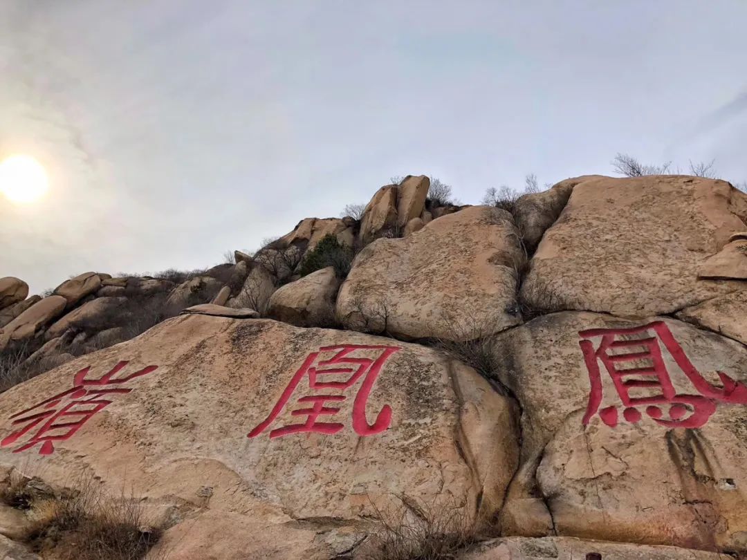 看,凤凰岭的"盛世美颜"就在你眼前!