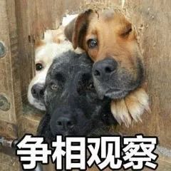 都是帮刘维宣传专辑,咋一个圈粉,一个翻车呢?