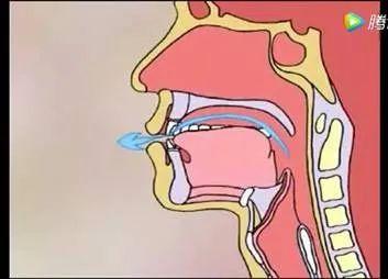 南方医科大学创制:“宣肺六式”新冠肺炎康复健身操