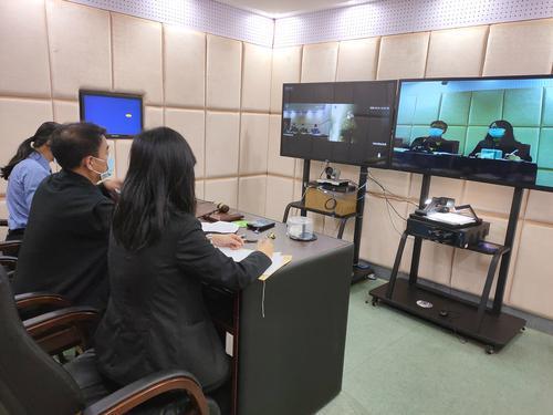 惠州大亚湾区法院线上宣判首宗口罩诈骗案
