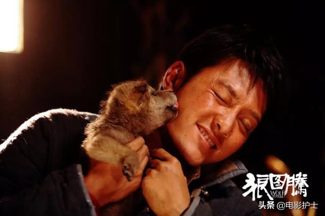 《狼图腾》重映,2015年首轮票房大卖6.9亿,冯绍峰最轰动一次